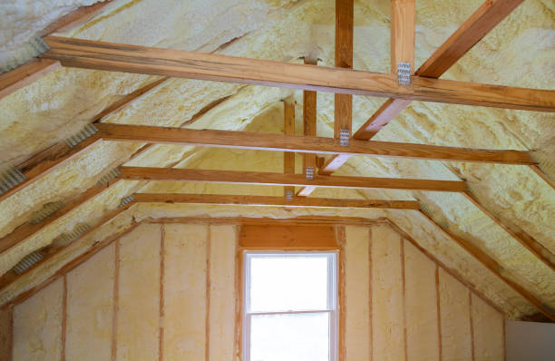 Best Spray Foam Insulation  in Smithfield, NC