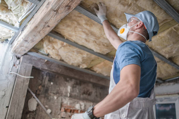 Best Insulation Replacement Services  in Smithfield, NC