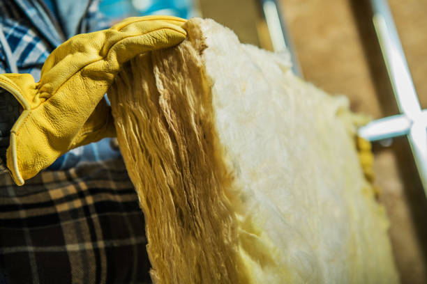 Best Professional Insulation Contractor  in Smithfield, NC