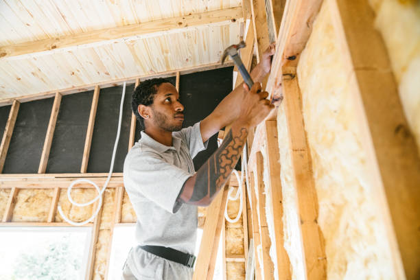 Best Home Insulation Services  in Smithfield, NC