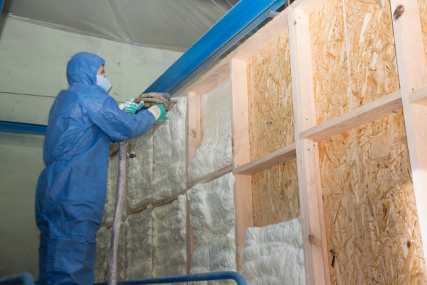 Best Insulation Contractor Near Me  in Smithfield, NC