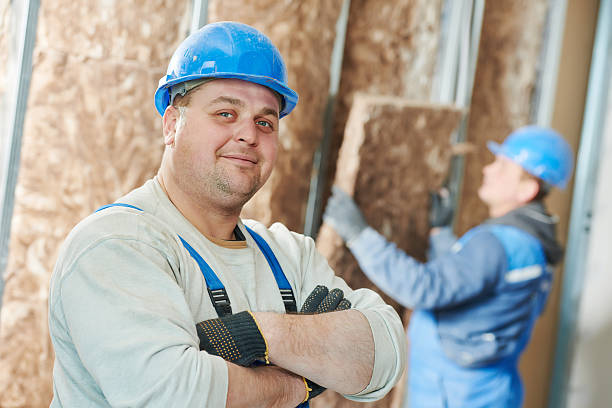 Best Insulation for New Construction  in Smithfield, NC