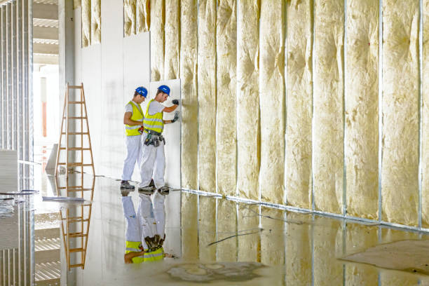 Best Local Insulation Services  in Smithfield, NC